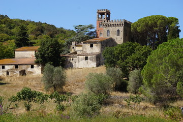 Fototapeta na wymiar Burg in der Toscana
