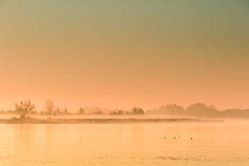 Water landscape at dawn