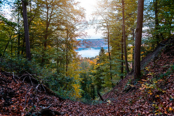 Panorama with sea