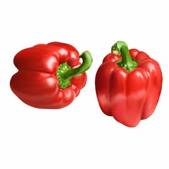Hand drawn red pepper sketch isolated on white background. Delicious realistic food illustration.