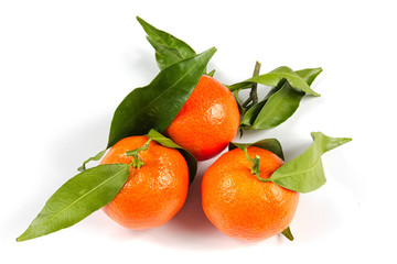 tangerines with leaves isolated on white background