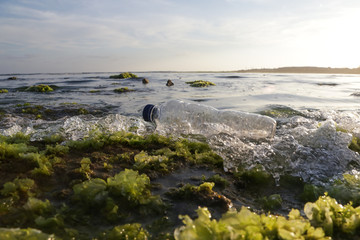 A plastic bottle in the ocean. Plastic pollution concept. Single-use plastic is a human addiction that is destroying our planet and impacts our waters, sea life and humans.