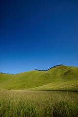 曽爾高原　青空バック