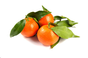 tangerines with leaves isolated on white