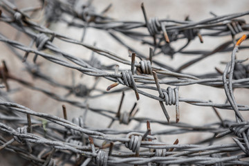 Rusty barbed wire