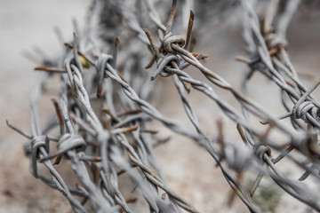 Rusty barbed wire