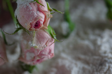 still life flowers with flour and spoons and a brush. presented on a wooden basis