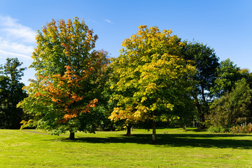 Naklejka premium 365 Challenge - Day 267