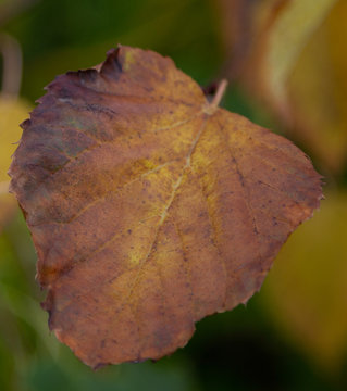 365 Challenge - Day 268