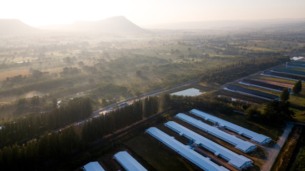 Surfaces on Livestock house, land and Cattle Farm in rural in Thailand with sunrise, fog and mountain background (photo by drone from hight view)