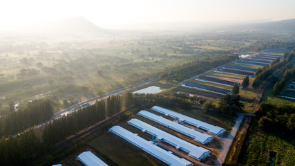 Fototapeta na wymiar Surfaces on Livestock house, land and Cattle Farm in rural in Thailand with sunrise, fog and mountain background (photo by drone from hight view)