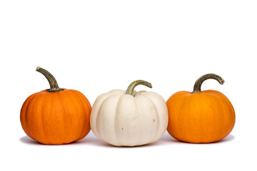White Pumpkin Between Two Orange Pumpkins