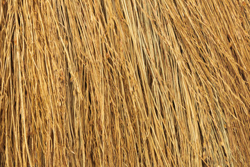 A broom texture