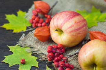 Rowan berries and apples and orange physalis and green maple leaves on a napkin of burlap.