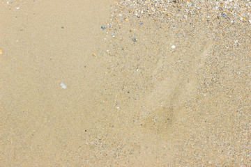 Beach sand close up surface texture horizontal background