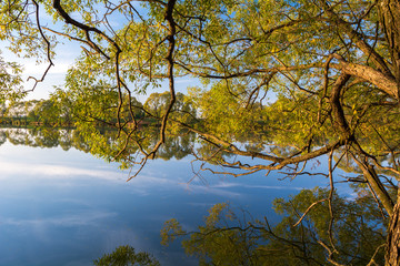 View of the lake and trees near Moscow. Russia