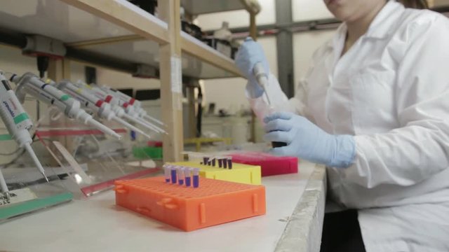 A handheld shot of a researcher pipetting samples to smaller vials in a genetic laboratory at university 