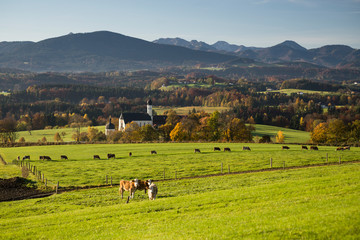 Obraz premium Die Wilpartinger Wallfahrtskirche vor den bayrischen Alpen im Herbst in der Morgensonne, Bayern, Deutschland