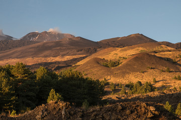 The colorful forests and lava flows in the autumn season on the Etna volcano