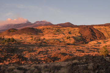 The colorful forests and lava flows in the autumn season on the Etna volcano