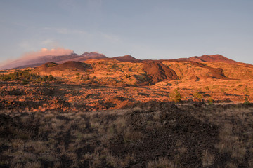 The colorful forests and lava flows in the autumn season on the Etna volcano