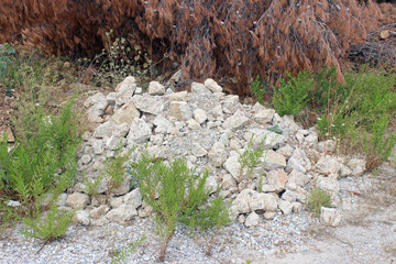 Pile of stones with vegetation by the road