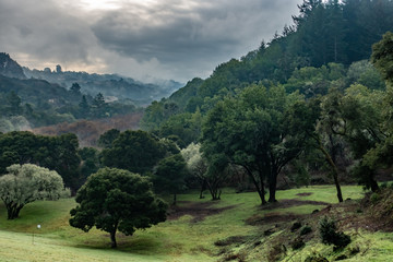 Dramatic clouds over bright green trees and grass, Crystal Springs, San Francisco Peninsula, California