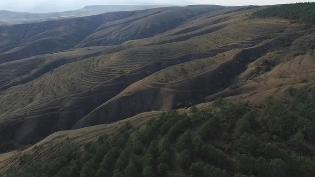 Wavy hills panorama, aerial view at sunset time. Shot. Wavy forest mountain landscape, aerial view. Tender sky colours, bright sunlight. Peaks of Caucasus mountains,