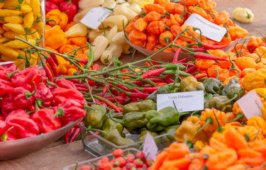 various chili cultivars