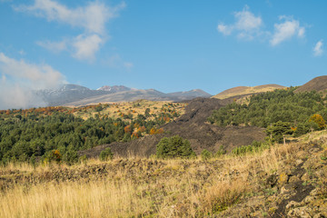 Obraz premium Autumn season on the Etna volcano