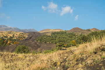 Fototapeta na wymiar Autumn season on the Etna volcano