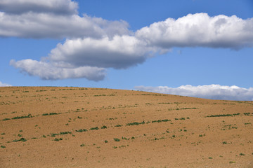 Fototapeta na wymiar big white clouds in a blue sky above field