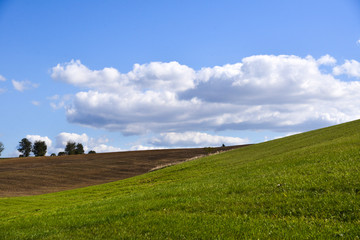 big white clouds in a blue sky above green grass