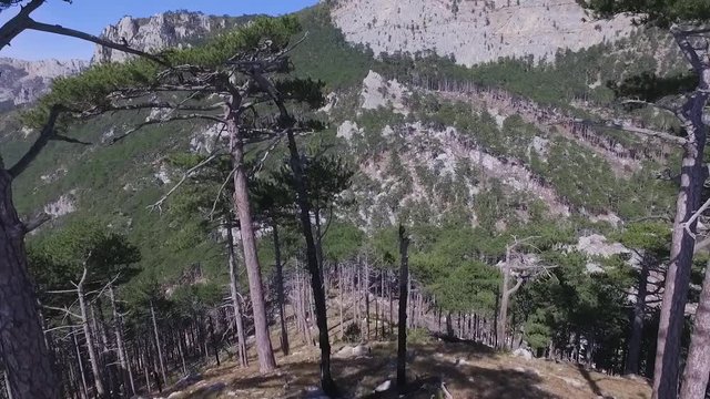 Aerial view green forest background, Russia. Shot. Rocky cliff and mixed forest on the mountain, the oldes mountains in the world, Ural, Russia
