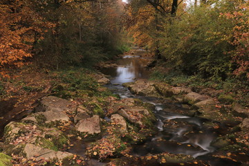 Kleiner Fluss mit Steine - 231346745
