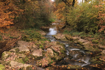 Kleiner Fluss mit Steine - 231346753