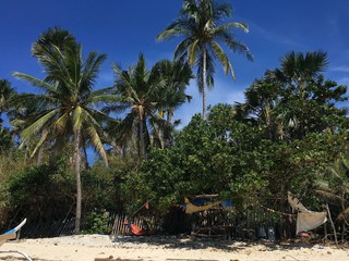 Palm tropical paradise beach in the Philippines with white sand & blue Sky