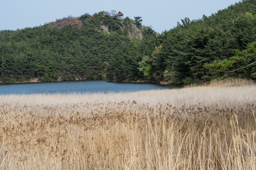 Pale brown grass with blue lake background
