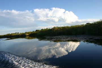 Fototapeta premium Okavango 4