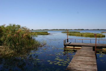 Okavango 10