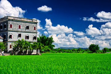 Kaiping Diaolou Village building and rice paddy