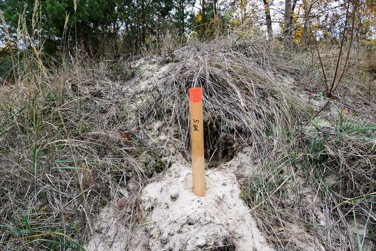 abstecken einer baugrube beim hausbau markierung baustelle baugrube