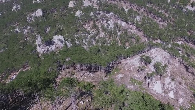 Aerial view green forest background, Russia. Shot. Rocky cliff and mixed forest on the mountain, the oldes mountains in the world, Ural, Russia