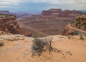 Fototapeta premium Landscape of Canyonlands National Park