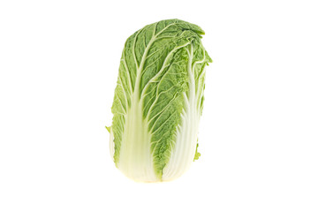 Chinese cabbage isolated on white background