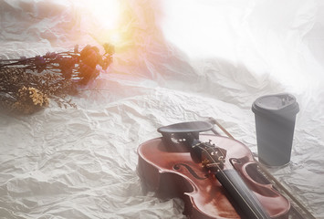 The wooden violin and coffee cup put at the right side of dried flower,reflection of sunlight is...