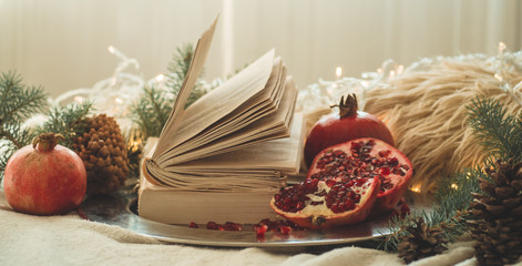 Cozy winter morning at home. Book and Pomegranate in a winter composition, Christmas trees, cones. Warm pillows and garlands