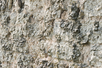 Stone wall background