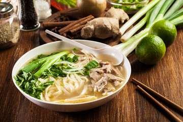 Pho Ga - chicken noodle soup © Sławomir Fajer