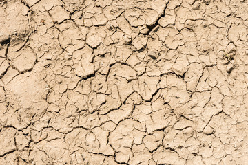 cracked earth background texture